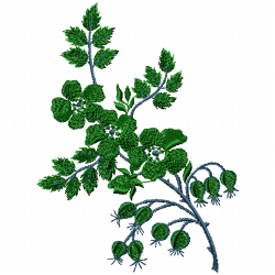Flowers And Tree Embroidery Design 7 Flowers And Tree Embroidery Design 7